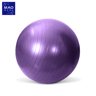 ลูกบอลโยคะ ฟิตเนต บอลออกกำลังกาย 65 ซม. Yoga Ball แบบทึบและแบบเงา