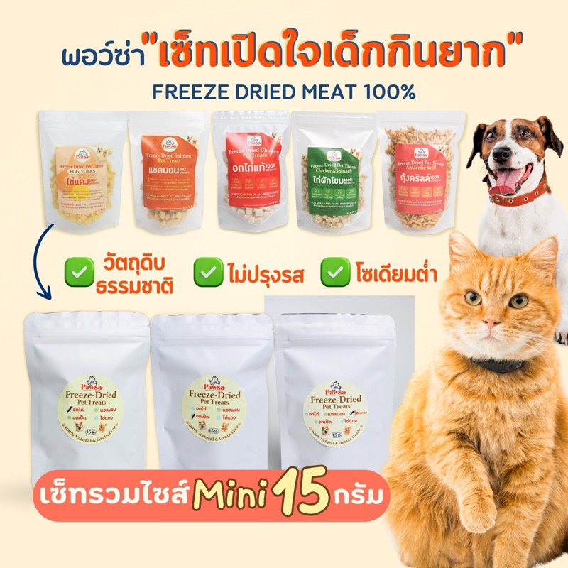 พร้อมส่ง💖(15 กรัม)ขนมแมว PAWSA - Set เปิดใจเด็กกินยาก ฟรีซดรายแมว ไก่ฟรีซดราย ไก่อบแห้ง ขนมฟรีซดราย ขนมแมวสุขภาพ