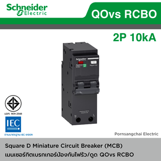 Schneider เมนเซอร์กิตเบรกเกอร์กันไฟดูด/ไฟรั่ว Main Circuit Breaker 2P 50A , 63A รุ่น QOvs-RCBO