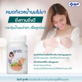 ลูกซัดผสมขิง สมุนไพรเพิ่ม/กู้น้ำนมลูกซัดผสมขิง เพิ่มน้ำนมภายใน 7 วัน เห็นผลชัดเจนได้รับรอง อย.