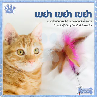 ปลอกคอล่อแมว ของเล่นแมว ไม้ตกแมว/ไม้ตบแมว ปลอกคอเเมว/ของแมว ของใช้แมว ซิลิโคนนิ่ม สวมใส่สบาย