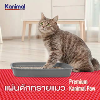 Kanimal Cat Litter Mat แผ่นดักทรายแมว พรมเช็ดเท้า สำหรับทรายแมวทุกชนิด น้ำหนัก 1.3 กิโลกรัม Size XL ขนาด 75x60 ซม.