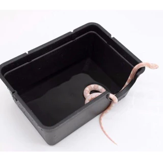Hide Box ถ้ำซ่อนตัว สีดำ สำหรับสัตว์เลื้อยคลาน ให้อยู่ในสภาพแวดล้อมอย่างปลอดภัย ตุ๊กแก เก็คโค งู ตะขาบ แมงป่อง HIDE BOX🖤