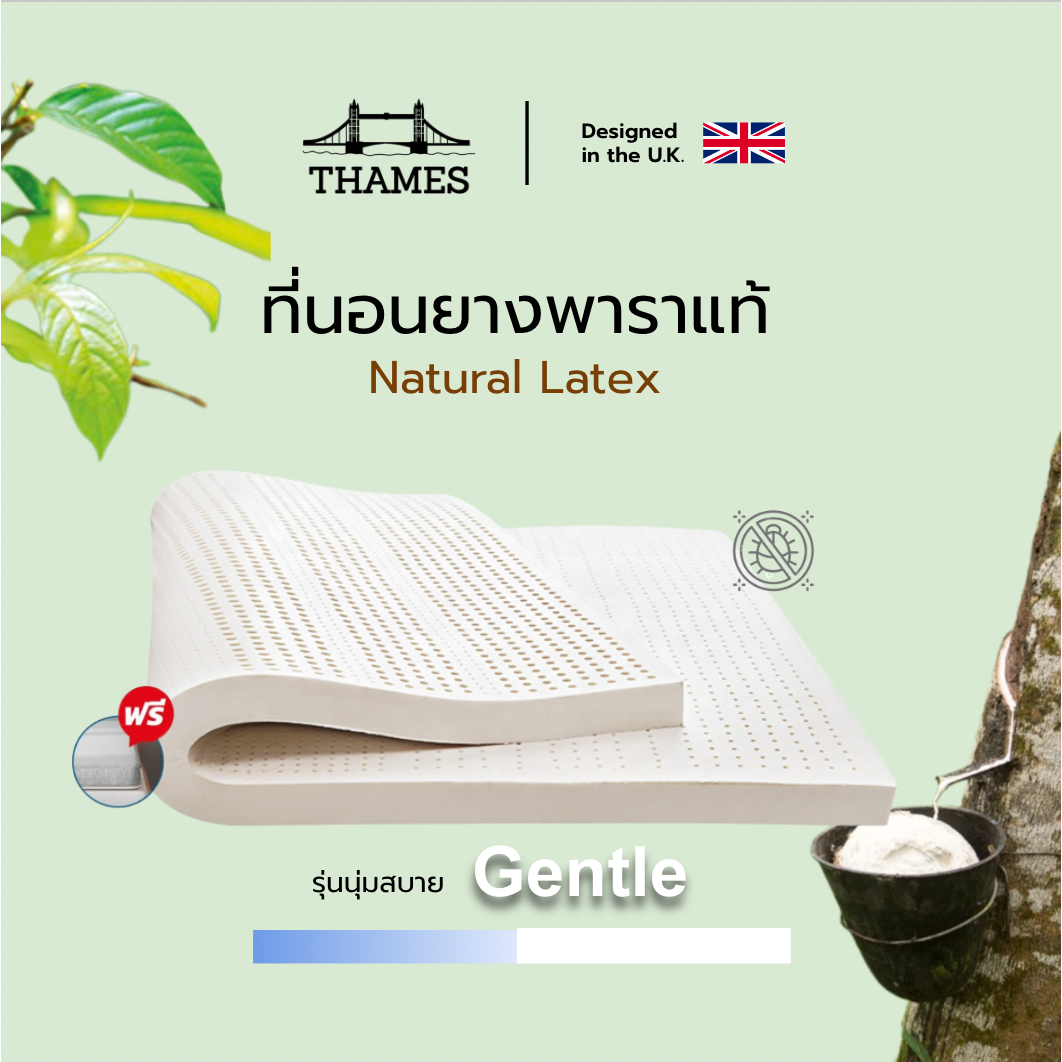 Thames ลดวันเดียว!!! +++ ที่นอนยางพารา แท้ ท็อปเปอร์ รุ่น Gentle ยางฉีดขึ้นรูปทั้งแผ่น