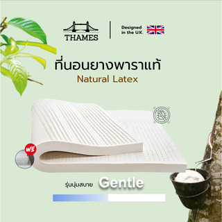 Thames ลดวันเดียว!!! +++ ที่นอนยางพารา แท้ ท็อปเปอร์ รุ่น Gentle ยางฉีดขึ้นรูปทั้งแผ่น