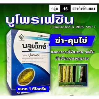 บลูเอ็กซ์-บูโพรเฟซิน 25% ( 1 kg ) 💥 ยาฆ่า-คุมไข่เพลี้ย เป็นสารยับยั้งการลอกคราบของแมลง ควบคุมการฟักไข่ ลดการวางไข่