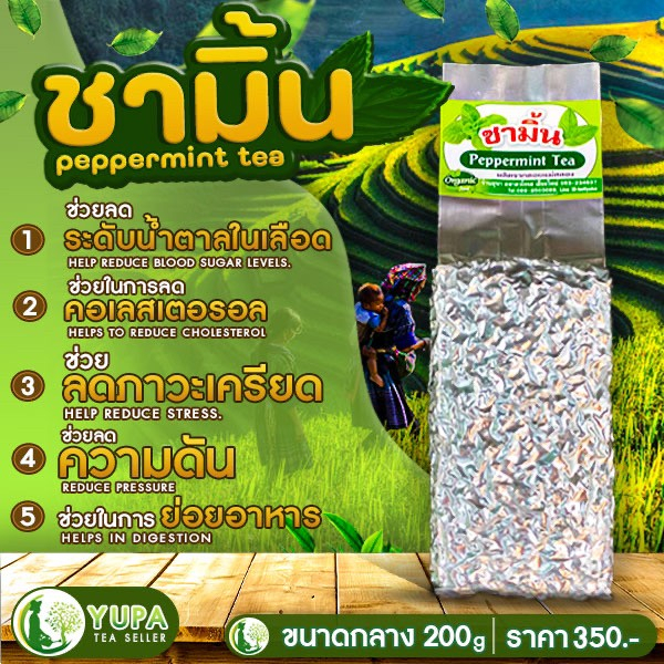 ชาอู่หลงกลิ่นเปเปอร์มิ้นต์