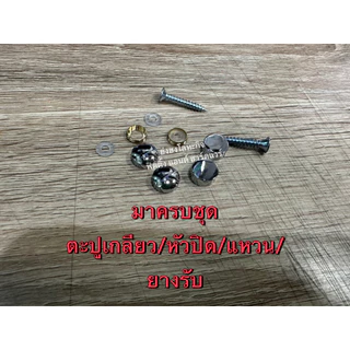 หมุดปิดหัวน๊อต หมุดยึดกระจก หมุดยึดอะคริลิค ขนาด 1/2 แพ็ค 4 ชุด และ 1 หมุดสีเงิน หมุดทองเหลือง