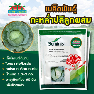 กะหล่ำปลี Tropic Sun Plus 25กรัม Seminis เมล็ดกะหล่ำปลี Cabbage Wonder Ball