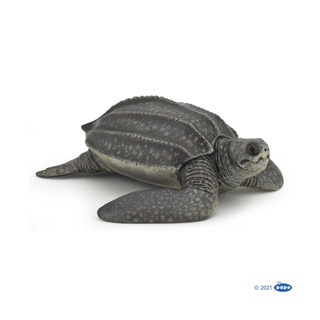 PAPO : PPO56022* โมเดล Leatherback Turtle