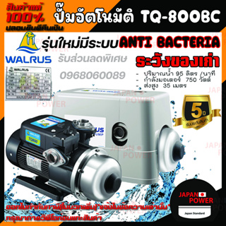 ส่งฟรี WALRUS ปั๊มน้ำอัตโนมัติ TQ800C มีฝาครอบ TQ-800C TQ800 TQ-800 ปั้มน้ำอัตโนมัติ ปั้มน้ำ ปั๊มอัตโนมัติ ปั้มออโต้