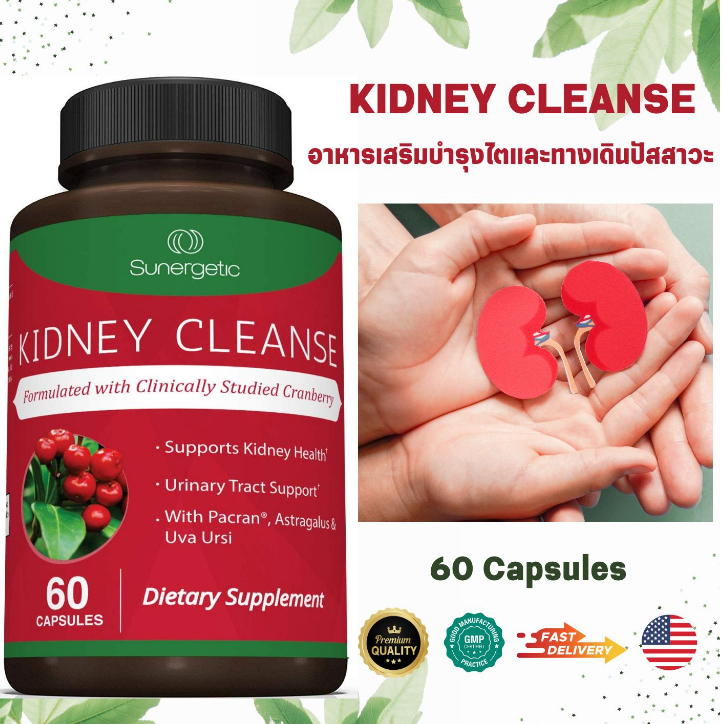 อาหารเสริมทำความสะอาดไตและทางเดินปัสสาวะที่ทรงประสิทธิภาพ Powerful Kidneys & Urinary Tract Support, 60 Capsule