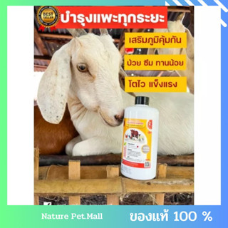 ผลิตภัณฑ์เสริมภูมิคุ้มกันสัตว์เลี้ยง-Chitosan+Beta Glucan