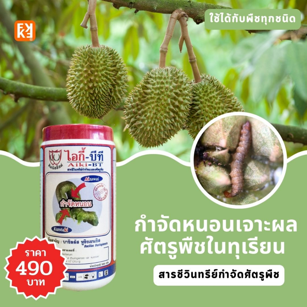 กำจัดหนอนเจาะผล ในต้นทุเรียน ระยะตั้งแต่ผลเล็ก  ไอกี้-บีที ชีวินทรีย์กำจัดศัตรูพิช โดย FK ใช้ได้กับพืชทุกชนิด
