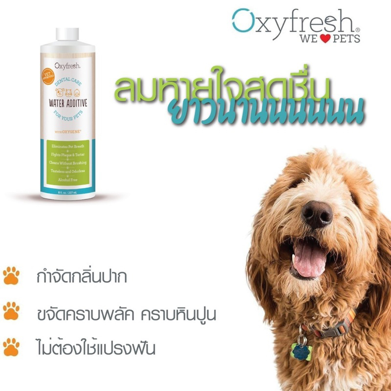 Oxyfresh Dental Care Pet Water Additive น้ำยาดับกลิ่นปากสัตว์เลี้ยง ผสมน้ำดื่ม [473ml]