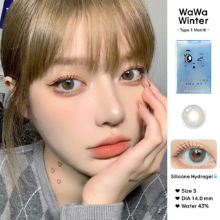 (ลดทันที45.-โค้ดช้อปปี้T4XMY29B) Wawa Winter เลนส์สีน้ำตาลอมฟ้าสไตล์เกาหลี สวยมากค่ะ พร้อมส่งค่าสายตาปรกติ