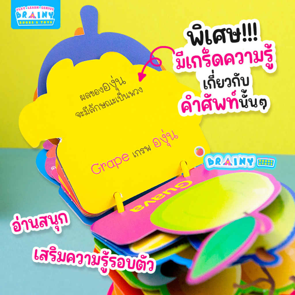 BrainyToys بطاقات مفردات للأطفال 5 فئات — صورة 5