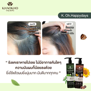 Khaokho Talaypu เขาค้อทะเลภู แชมพู สูตร Cooling & Balancing ขจัดรังแค เย็นสดชื่น (240 มล.)