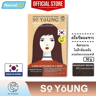 โซยัง เฮอร์เบิล สปีด คัลเลอร์ (สีน้ำตาลมะฮอกกานี) So Young Herbal Speed Mahogany Brown Color Cream ครีมปิดผมขาว 30 กรัม