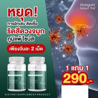 Prolec ผลิตภัณฑ์เสริมอาหาร บรรเทาอาการ เหนื่อย หอบ และภูมิแพ้ทุกอาการ(30 แค็บซูล)