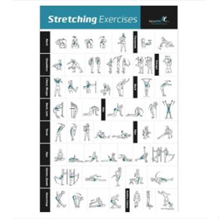 NewMe Fitness : NMF6678563* โปสเตอร์ NewMe Fitness Stretching Exercise Poster