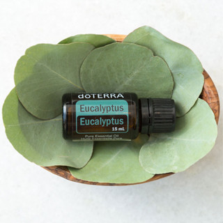 Eucalyptus ยูคาลิปตัส 15ml ปรับอากาศให้บริสุทธิ์ จมูกโล่ง ผ่อนคลายความตึงเครียด จิตใจสงบมากขึ้น