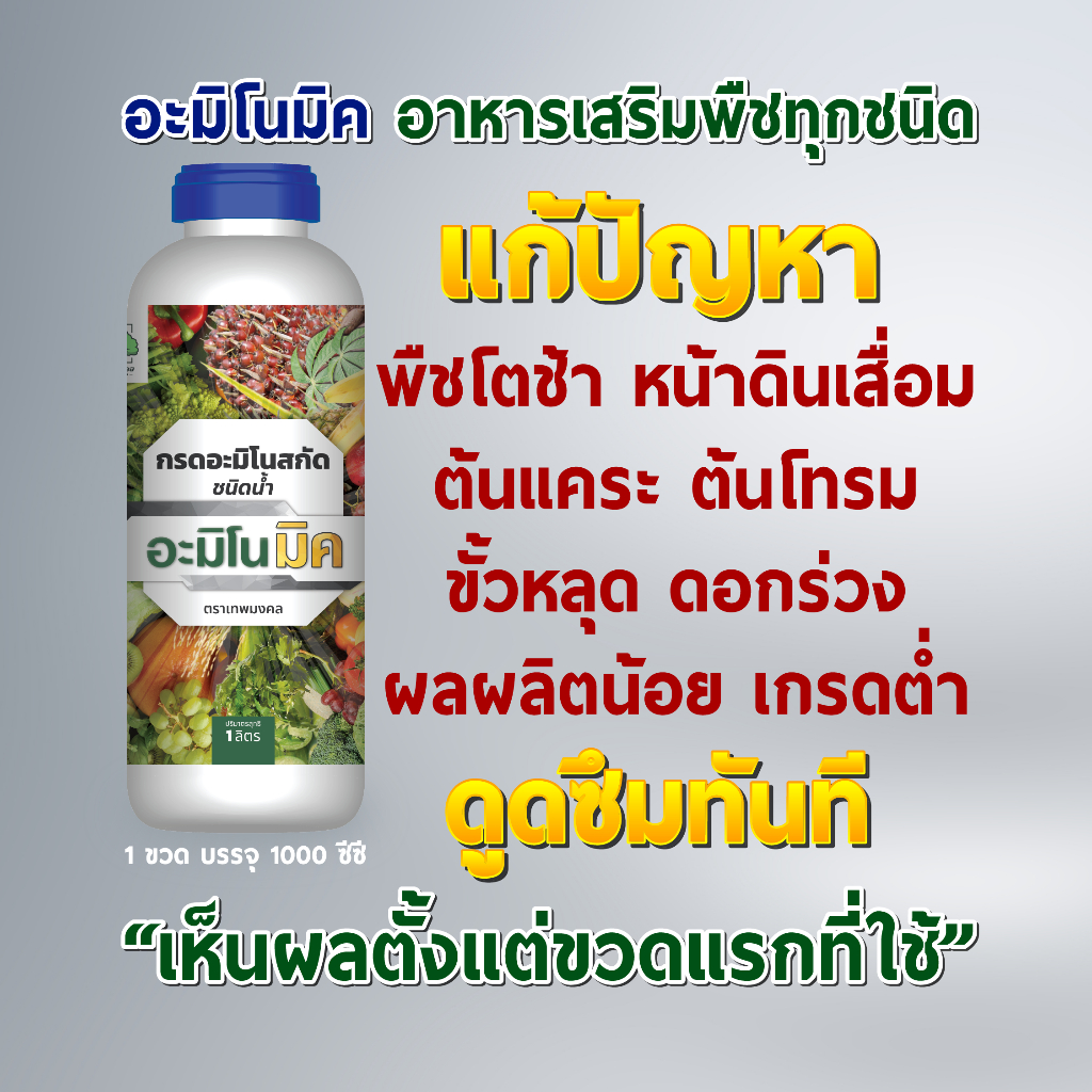 อะมิโนมิค 1 ลิตร อาหารเสริมพืชทางใบ ชนิดน้ำ เร่งบำรุงพืชทุกชนิด