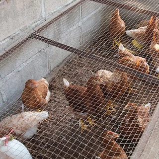 ลวดตาข่ายกรงไก่ ชุบซิงค์ (5 กก.) กว้าง 90 ยาว 25 เมตร คุณภาพดี