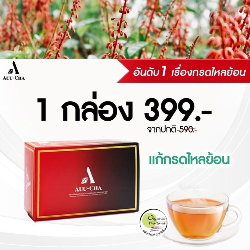 Auu-Cha อู่ชา ชาสมุนไพรแก้กรดไหลย้อน อาหารไม่ย่อย [แท้ ส่งฟรี]