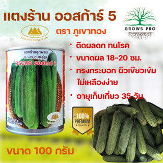 GrowsPro เมล็ดพันธุ์ แตงร้าน ออสการ์5 ขนาดผล 18-20 ซม. ทรงกระบอก สีเขียวเข็ม ก้นไม่แหลม ระยะเก็บเกี่ยวยาวนาน