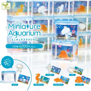 [ พร้อมส่ง ] mini aquarium  ตู้อควาเรียมจิ๋ว🐟🫧