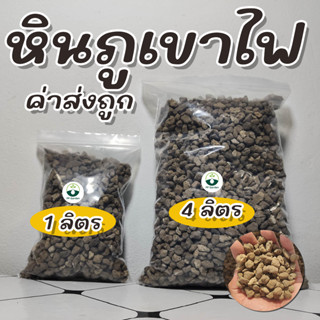 ถูกที่สุด หินภูเขาไฟ (Pumice) พร้อมส่ง เพื่อไม้มงคล ไม้ฟอกอากาศ ไม้ดอก ไม้ประดับ แคคตัส ไม้อวบน้ำ