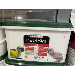 Nutri Bird A21 อาหารลูกป้อน