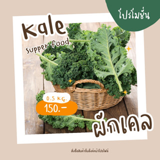 ผักเคลสด kale ใบผักสดสวย #ผักเคล