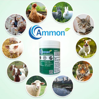 Ammon(แอมม่อน)1กก.ผงดับกลิ่นแอมโมเนียก๊าซไฮโดรเจนซัลไฟด์(ก๊าซไข่เน่า)กลิ่นฉี่กลิ่นมูลสัตว์##ส่งฟรี##