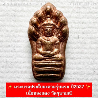 ✨พระนาคปรกใบมะขามรุ่นแรก ปี2537 เนื้อทองแดง วัดจุฬามณี