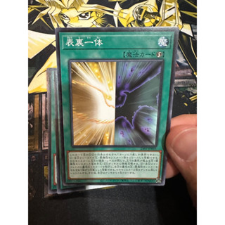 23PP-JP005  - Duality - Normal Ja