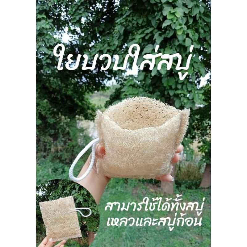 ใยบวบใส่สบู่ ใยบวบขัดผิว ใยบวบขัดตัว ใยบวบถูผิว ใยบวบถูตัว