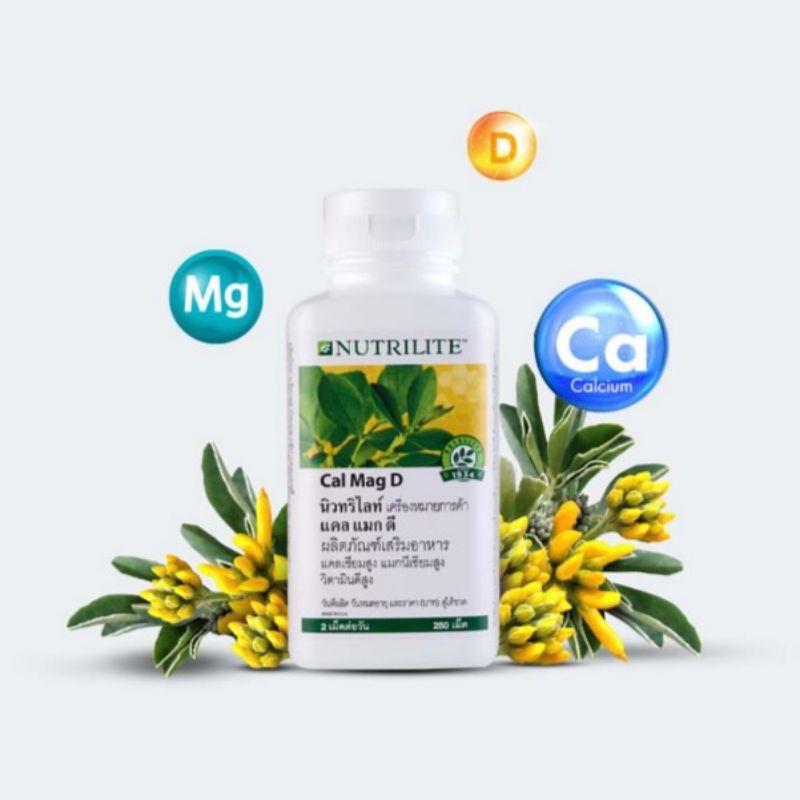 Amway Nutrilite Cal Mag D แอมเวย์ นิวทริไลท์ แคลเซียม แมกนีเซียม วิตามินดี (ของแท้ช็อปไทย)