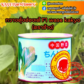 กวางตุ้งฮ่องเต้ F1 เมล็ดพันธุ์ผักกาด กวางตุ้งไต้หวัน wase kakyo 100 ก.ตราช้าง