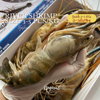 กุ้งแม่น้ำ 3-5 ตัวโล 1kg/pack River Shrimp 3-5 pcs/pack