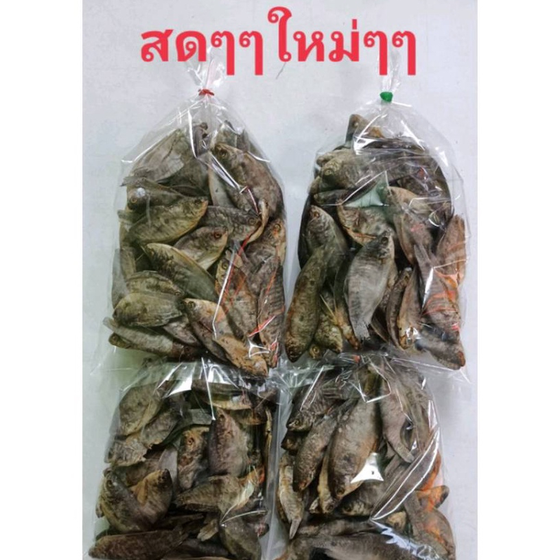 ปลาสลากตากแห้ง ปลาสลาก ปลาตากแห้ง (100 กรัม) สดๆ ใหม่ๆ ของมีพร้อมส่ง