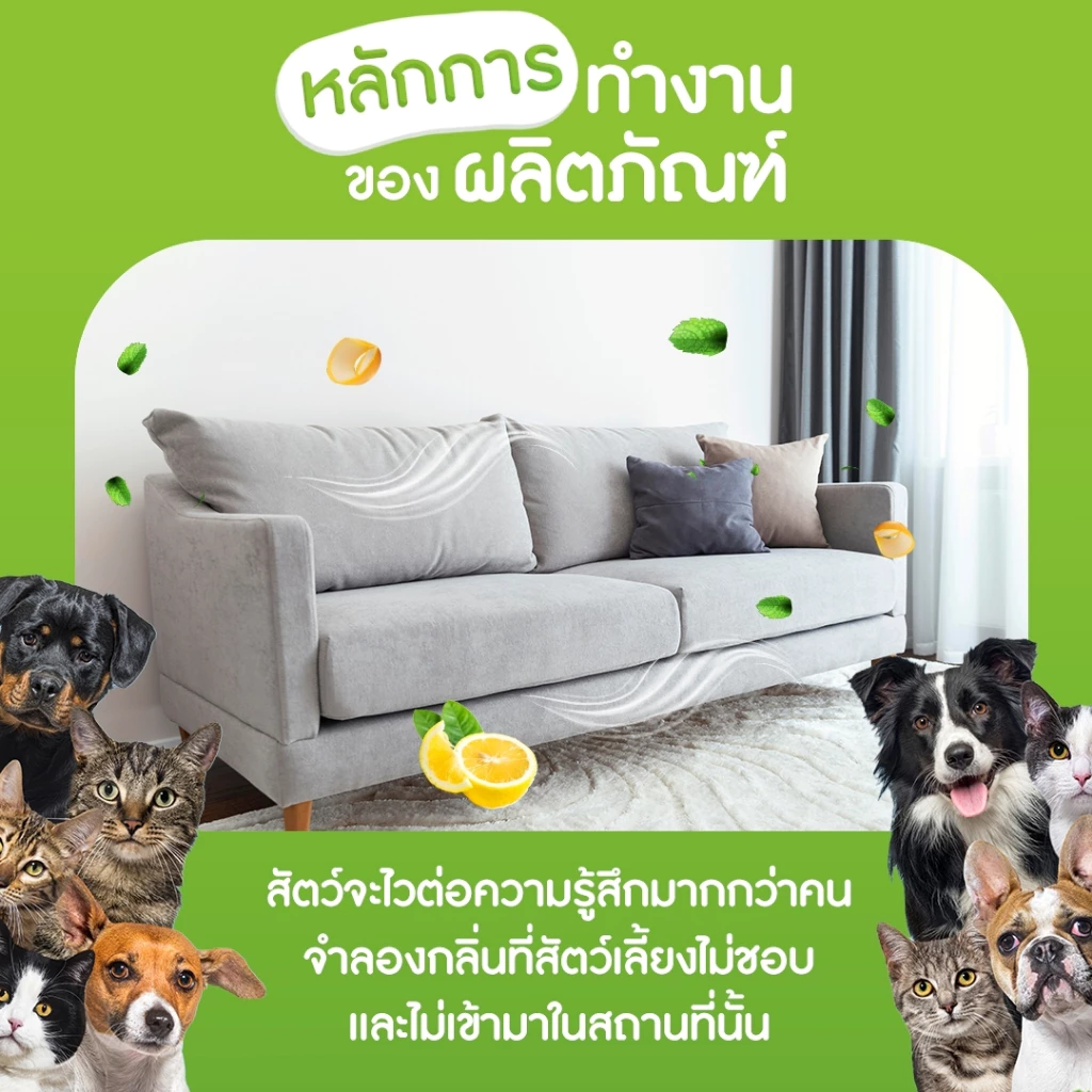 สเปรย์ไล่แมว-หมา เจลไล่สัตว์ ไล่ฉี่ ใช้ในบ้านและสวน thumbnail 4