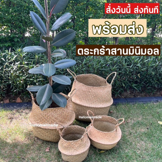 พร้อมส่ง🇹🇭 (ถูกสุด) ตะกร้าต้นไม้ ตะกร้าใส่ของ ตระกร้าสาน อเนกประสงค์ กระถางต้นไม้ ตระกร้าหวาย