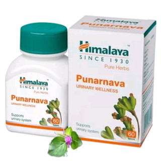 Himalaya Punarnava สมุนไพรบำรุงระบบปัสสาวะ ขนาด 60 เม็ด