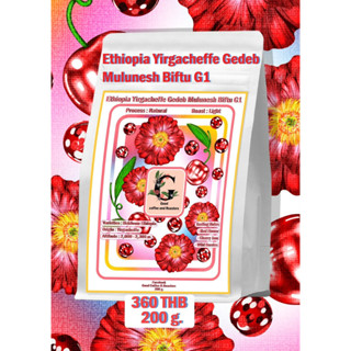 Ethiopia Yirgacheffe Gedeb Mulunesh Biftu G1