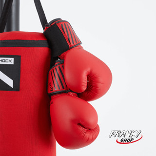 กระสอบทราย สำหรับเด็ก + ชุดนวม Kids Boxing Bag + Gloves Set