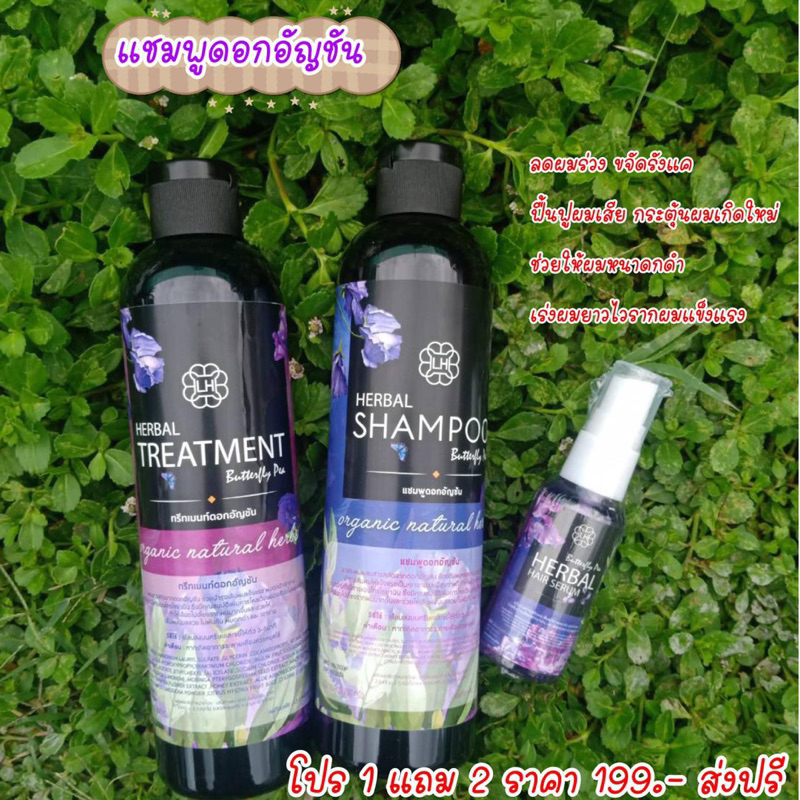 ซื้อ (พร้อมส่ง)แชมพูอัญชันซื้อ1แถม2(แชมพู+ครีมนวด+สเปรย์ผมดก) มีเก็บเงินปลายทาง