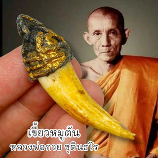 MUT[88]เขี้ยวหมูตัน หลวงพ่อกวย วัดบ้านแค สุดยอดแห่งเครื่องรางพกพาติดตัวป้องกันอันตรายป้องกันภูตผีปีศาจสิ่งไม่ดี