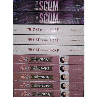 รวมหนังสือวาย / 1. น้ำกระแทกดิน / 2. CAT IN THE TRAP / 3. ONLY YOU เพียงนาย